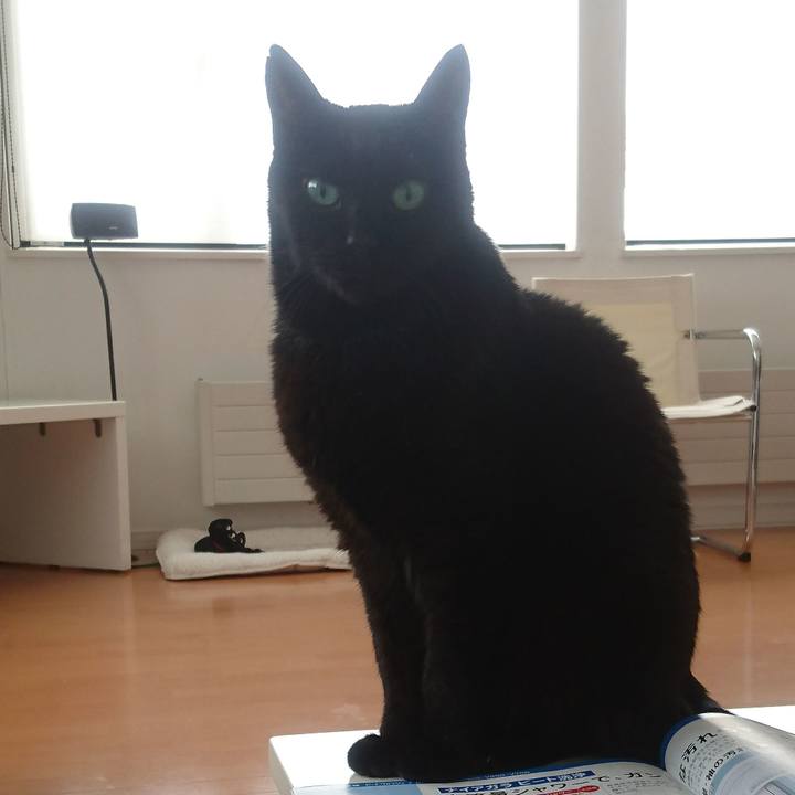 D982bcd5 95b9 4475 8b26 734f1b3edc8a 1517836957326