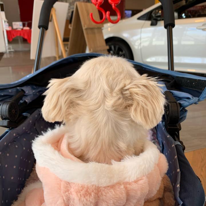 D982cbab 2b8a 4936 91e5 649f59a463c9 1611924704843