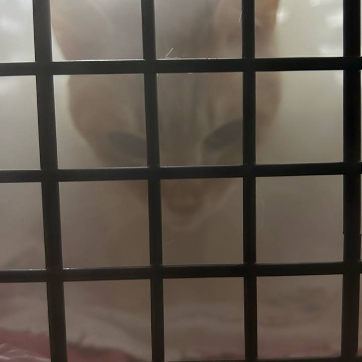 D982d9c6 bb39 41cc 94f2 103d6acf73da 1681912642564