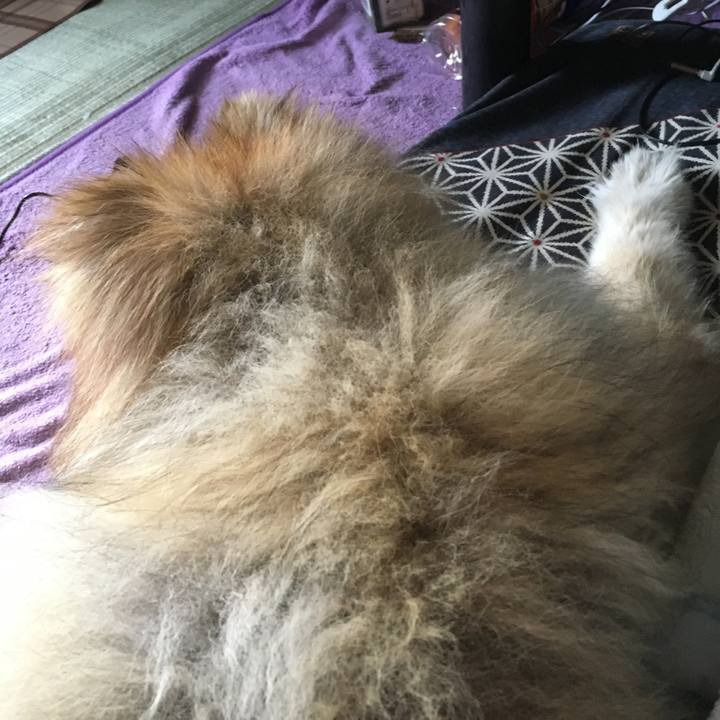 D982fe02 1945 424f b0ca fcb4f01b6d1b 1581669042922