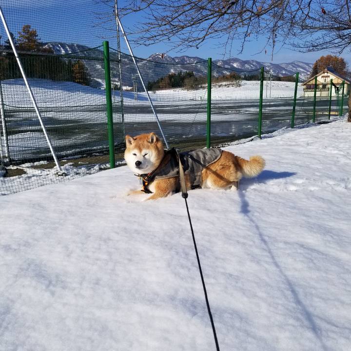 D9831204 18e8 464a 923c 18a77b5f6224 1700975457128