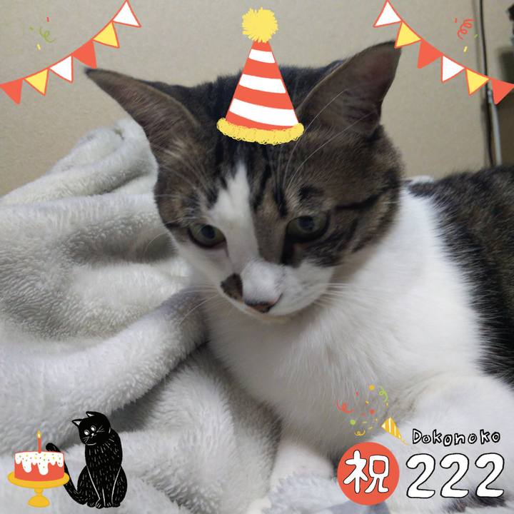 D98366a3 a50a 42aa ac08 be61d6c2410a 1645499417009