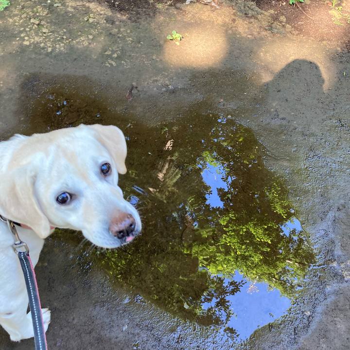 D9837569 3742 4482 bc85 748bce148aa7 1748994851693