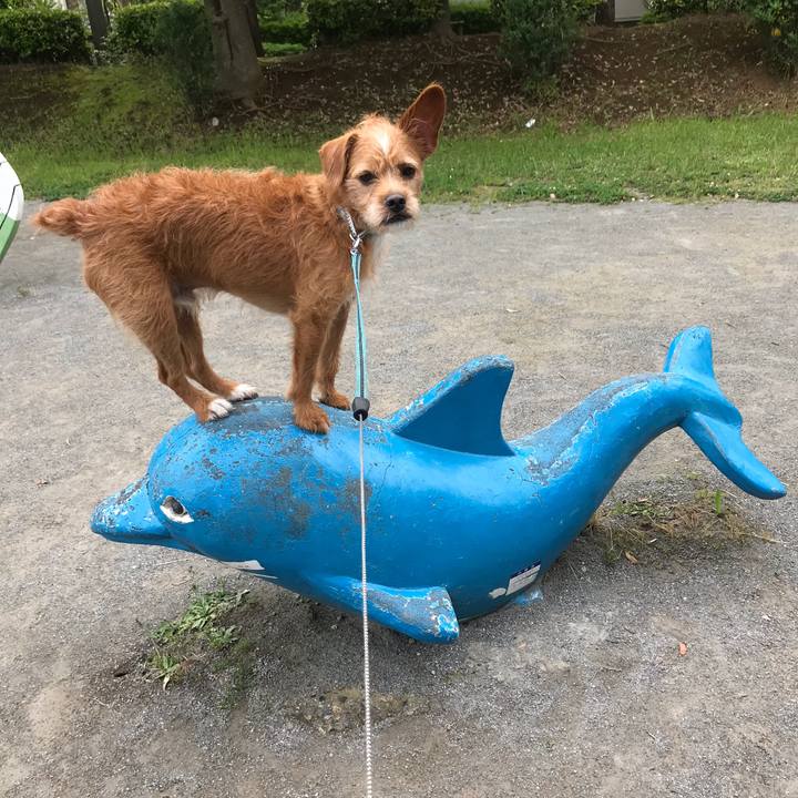 D9838527 92ad 4abd 973d 6575ef53b6b5 1590364635972