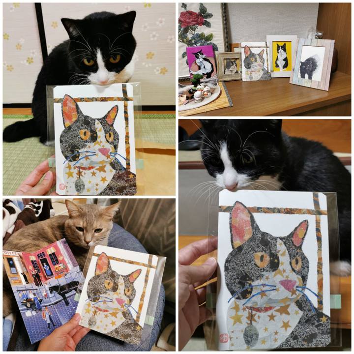 D9838f34 3632 4f4f a7cc 60d867e460e5 1668053605807