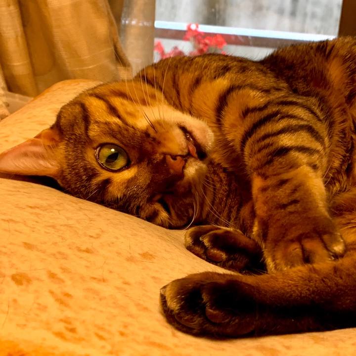 D983a412 5a8f 4188 9cf0 638b0bb2328f 1558394416947