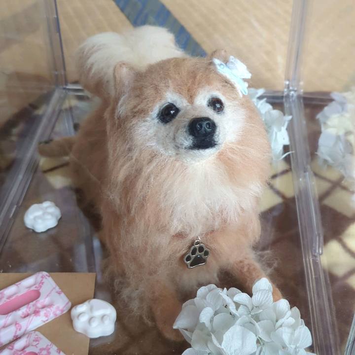 D9842ba1 ce60 4b18 9cdd f98151b82a00 1743062651577