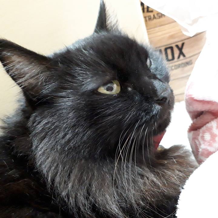 D98444d8 483a 44f3 8cd7 77002661e84b 1543843129519