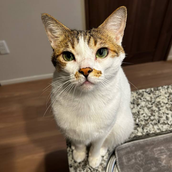 D9844852 e6dc 40c5 a48c 632811165823 1758666910775