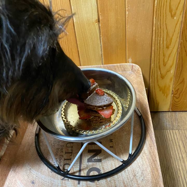 D9844fee 0af9 48ce bbf3 b9ef2f72952a 1645880625033