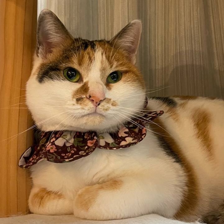 D9845b1c 0e31 4e9d ac84 a09076a70c89 1739617055448