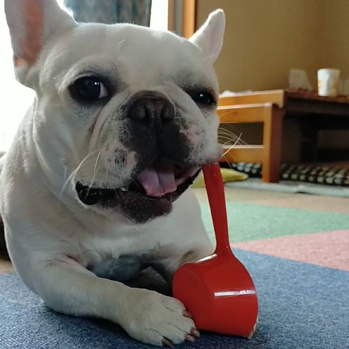 D9845c62 8031 415f 9794 cb4c76ede088 1654383013409