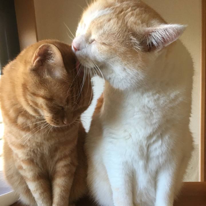 D98475a3 46b1 4cd1 9199 7b03b69a9d08 1535413510426