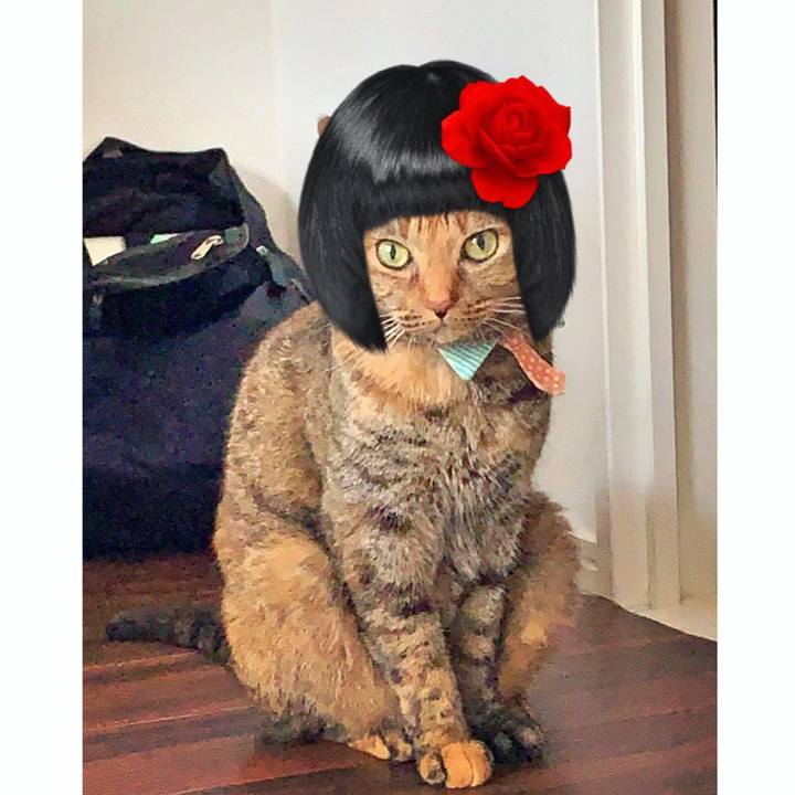 D9848a09 99b8 4e2d aaf7 6510b7d7633e 1564753504662