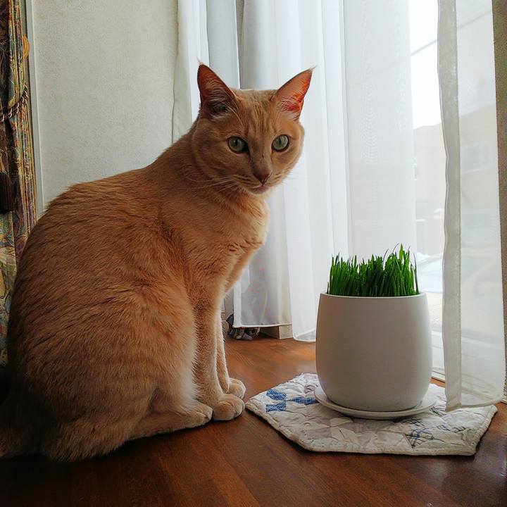 D984915f cde6 4186 a90f a89c00025ad8 1672453176213