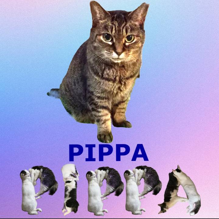 D984c145 4aa8 4b31 9167 91426a382327 1667738080393