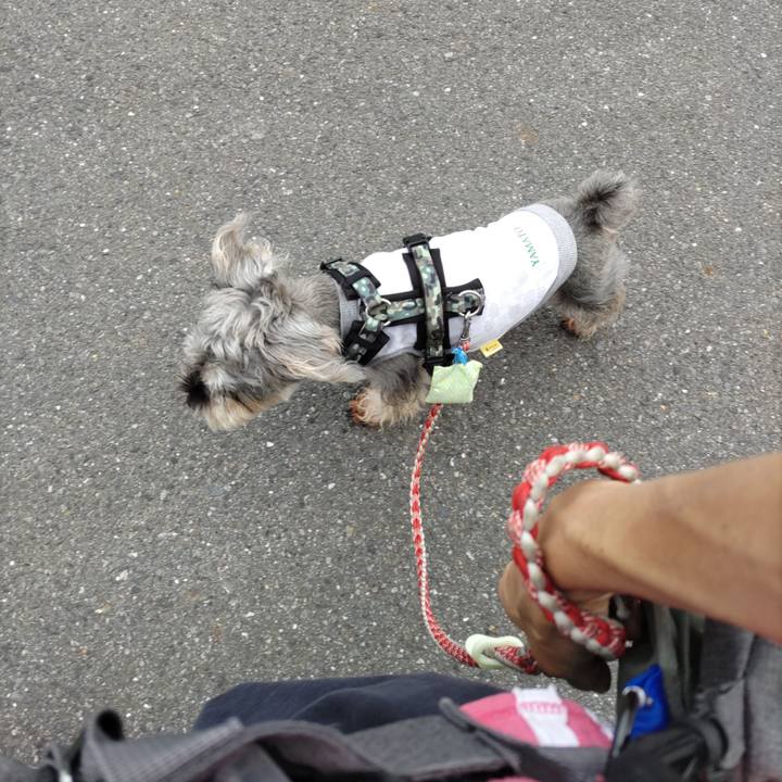 D984db88 5ef5 4a5b a066 39e4f7df7162 1693987156455