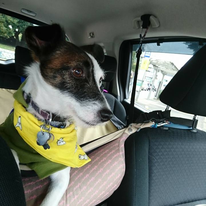 D984f651 41c9 4a21 b911 d2e216786e8f 1509155223718