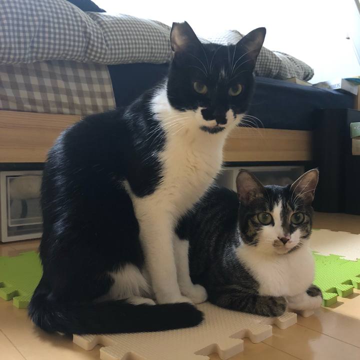 D9850381 914d 45ea 9fd9 835bcd7145c2 1544634144161