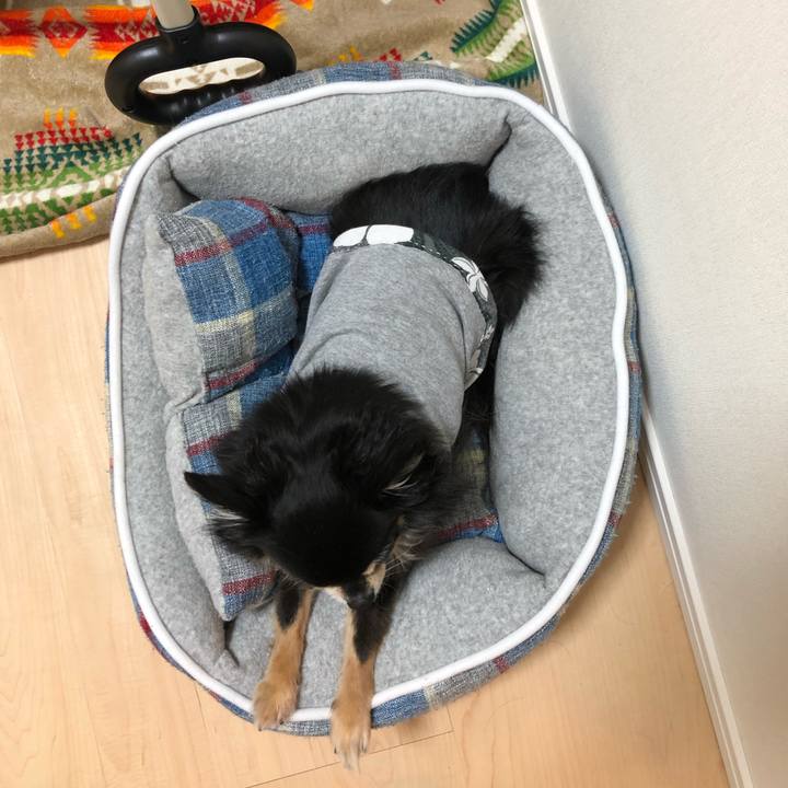 D98515dd 1ad2 4f52 8a65 8a24d409ded4 1588068167718