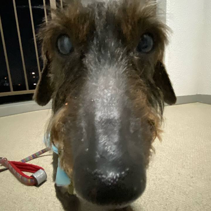 D9853efb 871f 4e3b 8f1b e1372ae88c0f 1619102347983