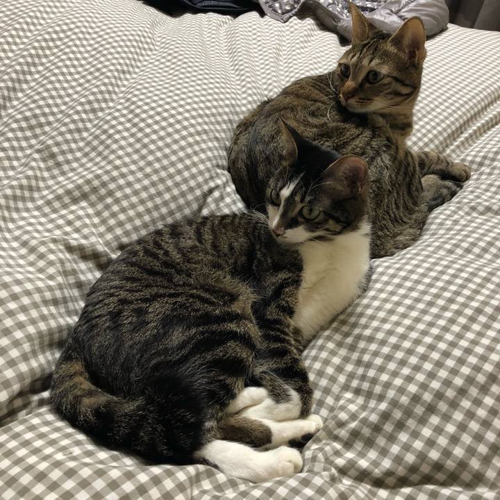 D9853f2f fc7e 4266 bc9e ee4cc1961a04 1519397412365