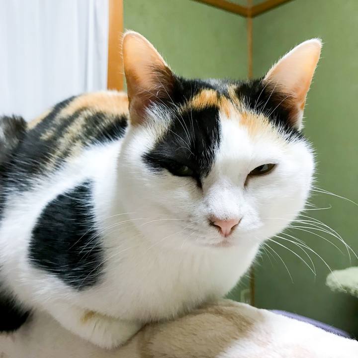 D98566db 4027 4722 8c65 62470d800688 1522026912118