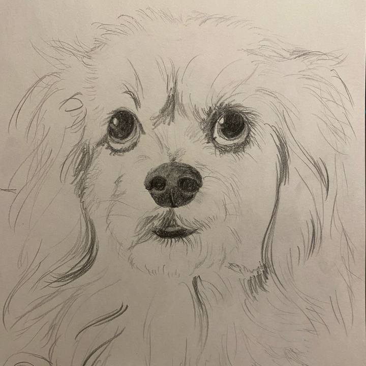 D98570d0 1c22 40b8 acf6 da7ce4bb4e30 1614431318228