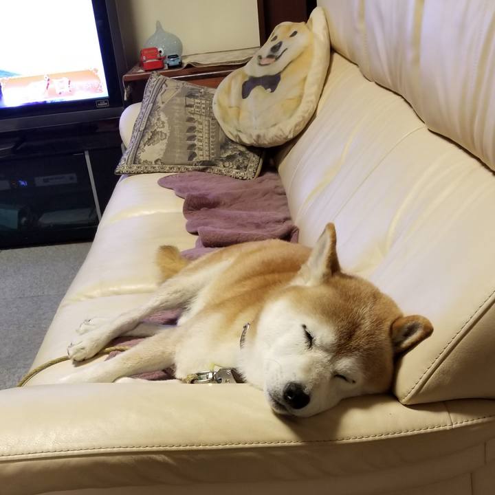 D9858eb8 43e4 4273 9d9b 9b72ae305033 1663503454970