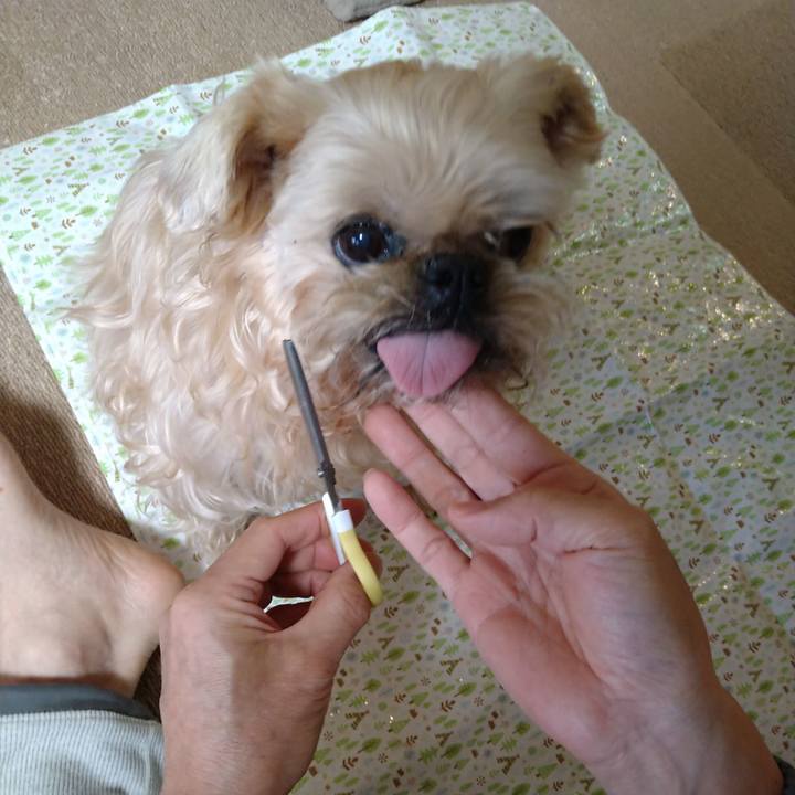 D9859183 51c0 4af7 9e58 a95b1ac350bc 1648985951140