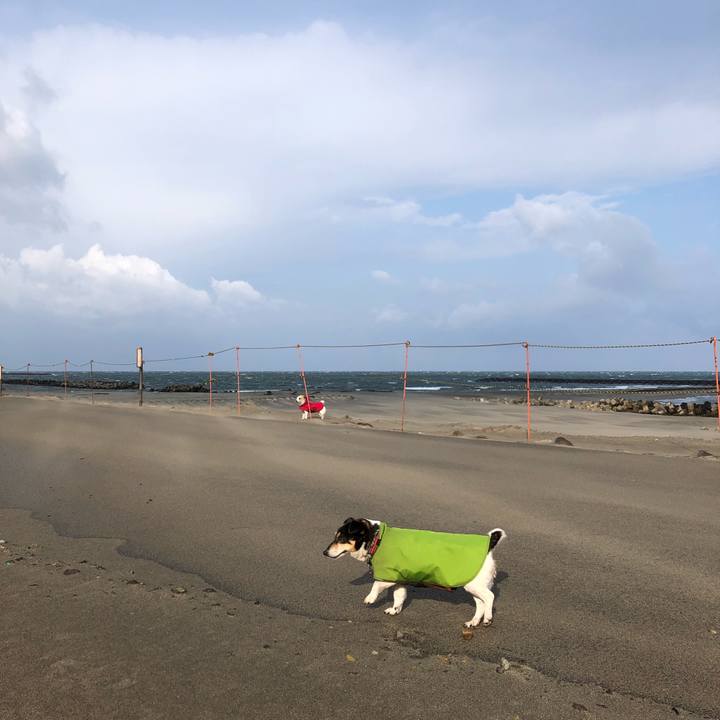 D985a467 cce3 48b1 a61b 3eb595b79188 1553991675195