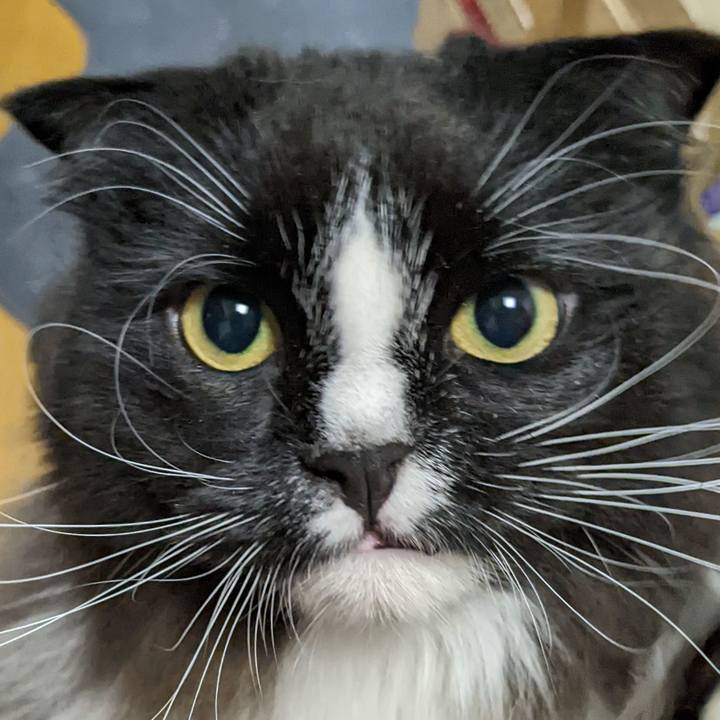 D985e218 4c53 4324 ab14 c9671aefd057 1667133451701