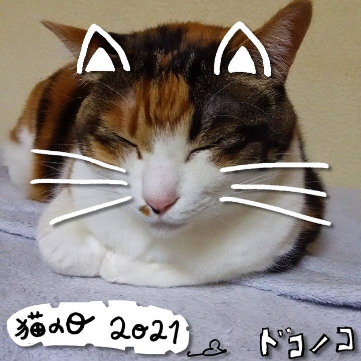 D9862bb8 603c 438a b84d 182af4ad19c6 1613965608043