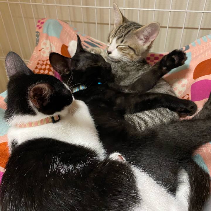 D9867941 5d6d 465d b3b6 987d85784bd3 1627194495553