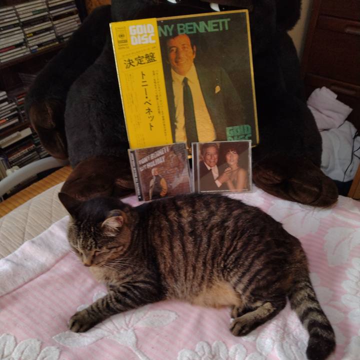 D98709ad b860 4ce7 aac5 4c7d9d4e3c8e 1689979196749