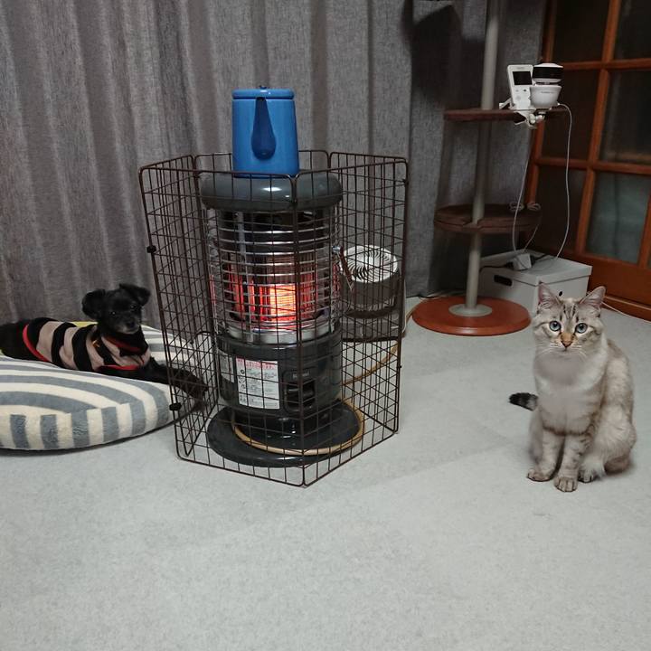 D9872334 a08c 434a 837b cef903258f14 1607157018037