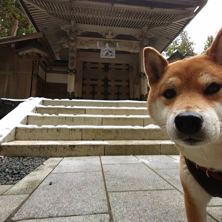 D987426d e3b7 4bc0 83d4 53a03b6605ea 1767077333306