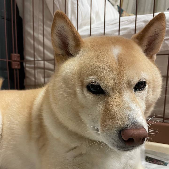 D9875fec 21ba 4424 8a04 dba51bf236fc 1693997126369