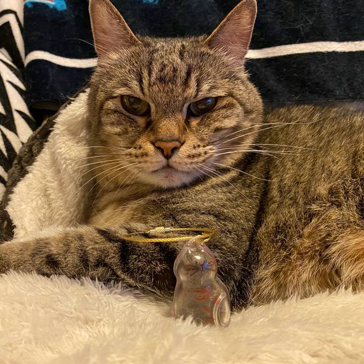 D987675a 8b69 4179 97d7 b72898d4f01d 1752767309720