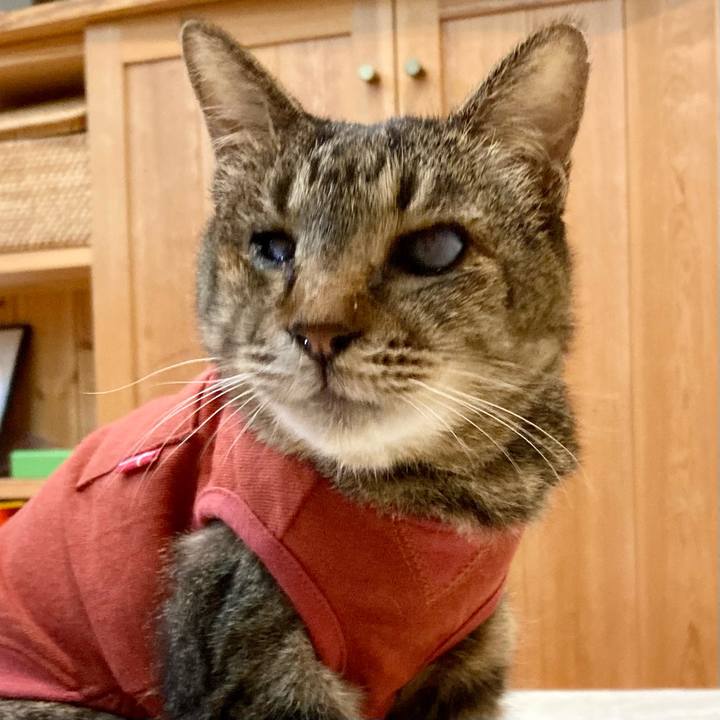 D9877129 f5db 4425 8408 1427d66c42ea 1680775243024