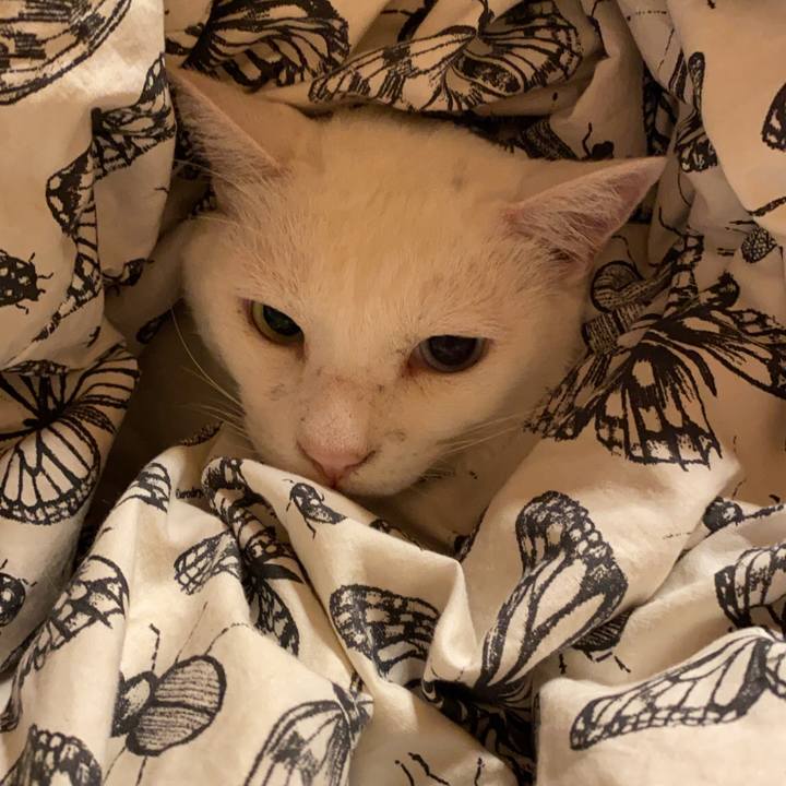 D9877c5a 6f64 472a b10e 52a0c6c43d1a 1602290396776