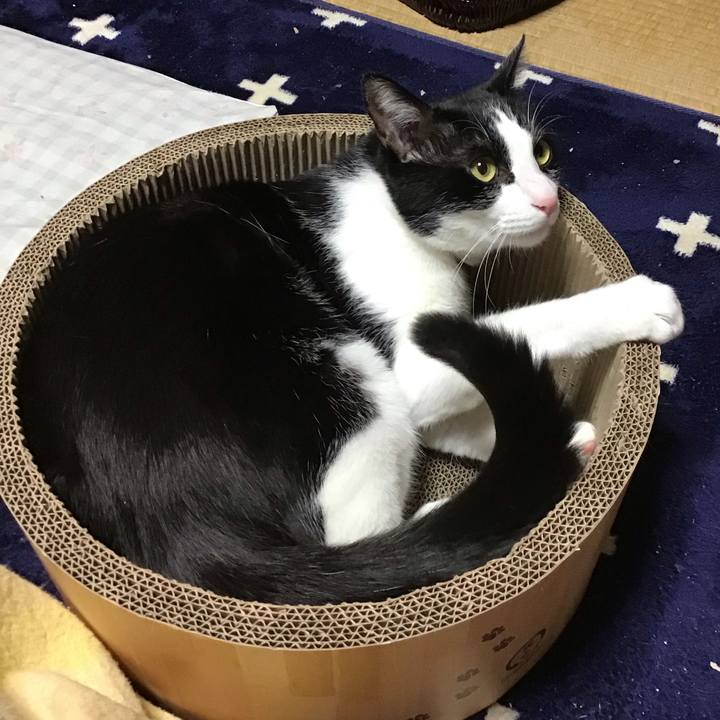 D9878471 c3d1 4b3e ab0e ee2e39dbfc5c 1712919814770