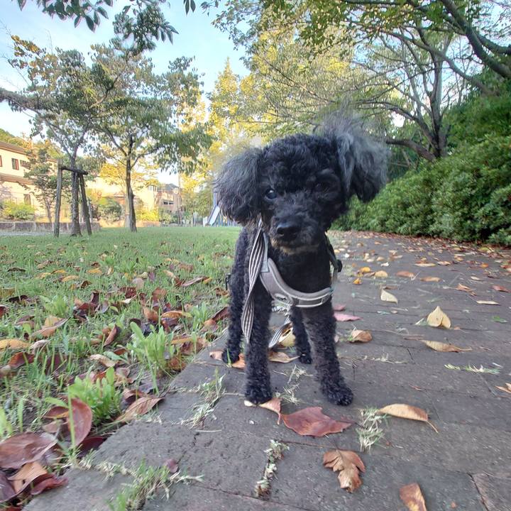 D98788be 4356 4e76 8309 214dc76992ba 1758321031547