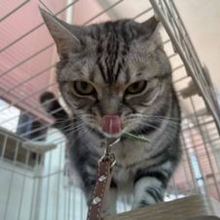 D987d02c c490 4a73 9e0a 59c02f7e2c18 1689078759162