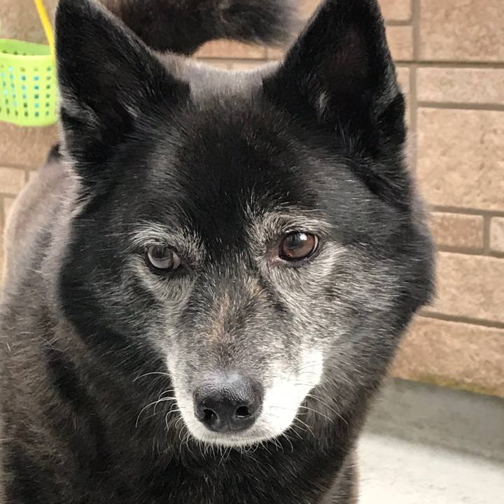 D987e736 482d 4361 9543 58025f90b3b5 1557238145278