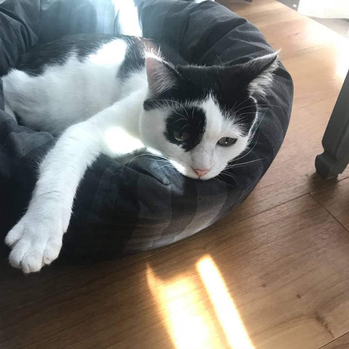 D987f19d 2d06 4775 9ccf eefc0d9e92af 1513041589953