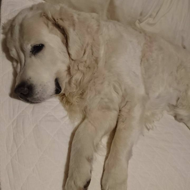 D987f646 a988 4bfe 9f19 914e3888e848 1554728121092