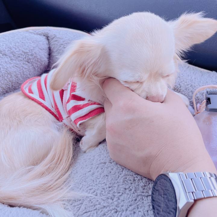 D9881118 aac0 41d9 98fb 068a2da9ee0e 1679210095632