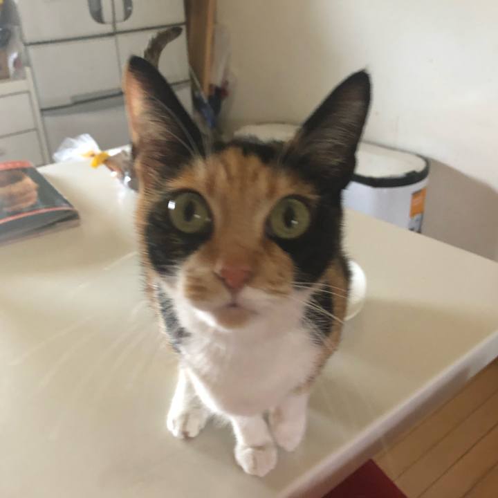 D988126a 6ca8 48fb 8524 0a2d9449af64 1558871208444