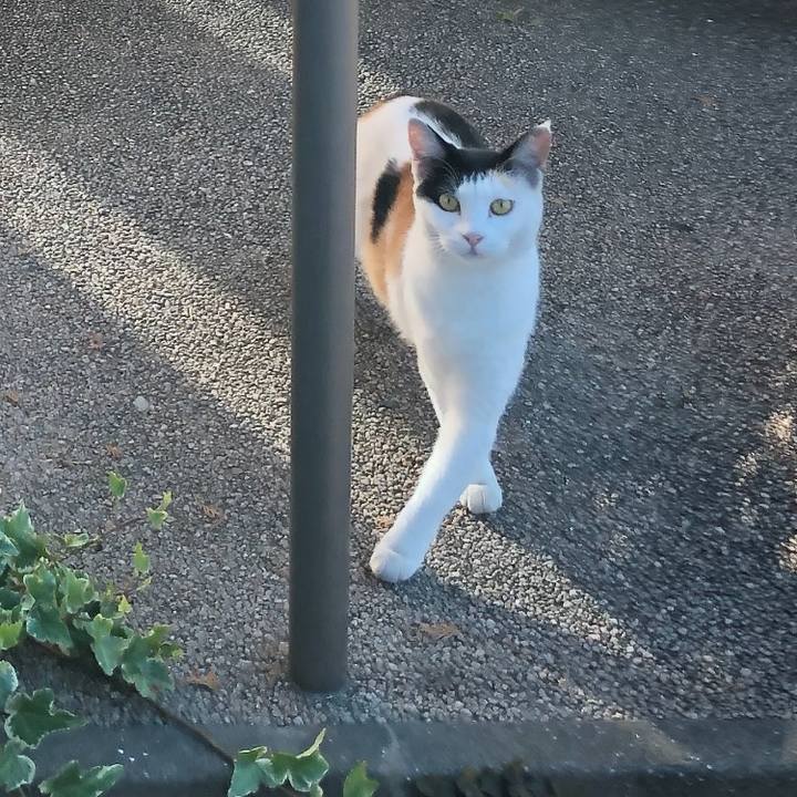 D9883063 afbf 4126 9e0e dce2b61bce44 1600587467456